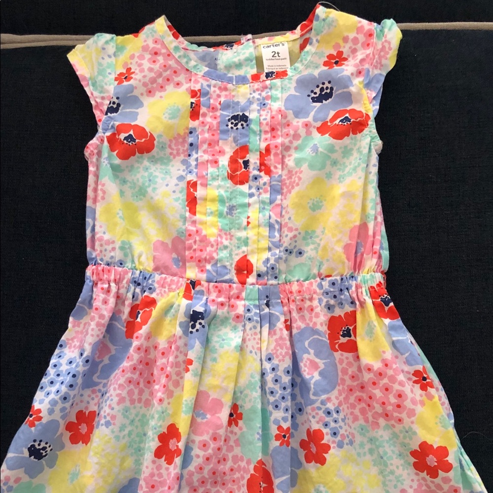Carter’s Floral Poppy Dress